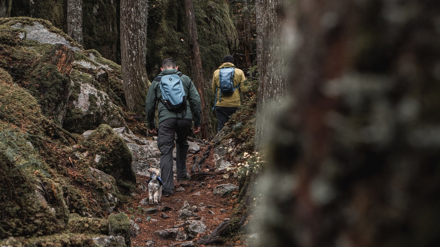 Hiking Year-Round in Squamish