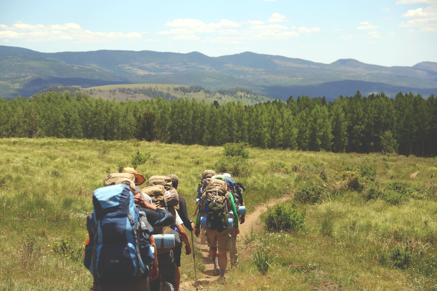 Group of hikers in a meadow
